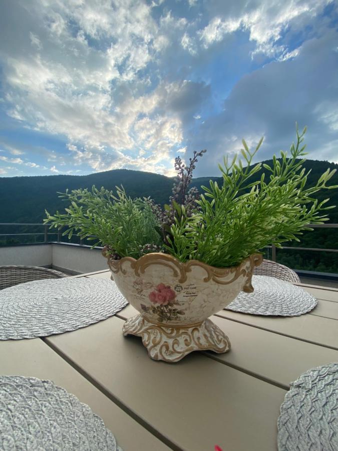 Heidy Sinaia Apartment Exterior foto